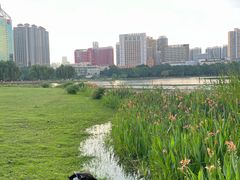 -南宁南湖公园