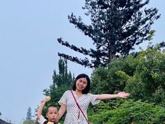 -台儿庄古城