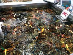 水产区-盒马鲜生(189购物中心店)