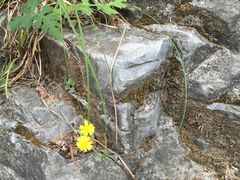 景点-孤山寨风景区