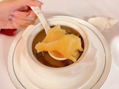 石斛老鸽炖花胶-火璽·園