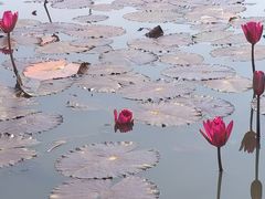 -沙美村