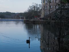 -深圳东部华侨城茵特拉根酒店