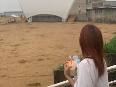 -奉贤海滩