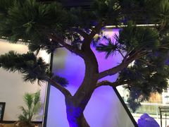 -绿茶餐厅(成都大悦城店)