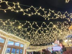 -星光岛