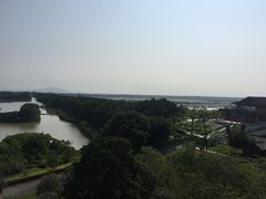 -大湾区中央湿地公园