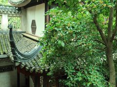 -东山雕花楼