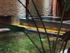 -青水瓦台汤泉(未央店)