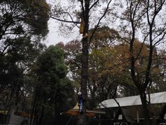 -WeLope紫金山探险公园