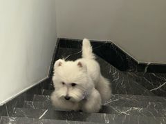 -中粮·祥云小镇