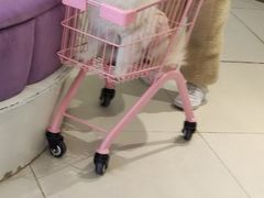 -怪兽屋·羊驼·猫咖·狗咖(俊华广场店)