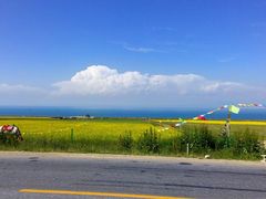 -青海湖国家重点风景名胜区