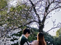 -武汉大学-樱园