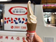 -富豪雪糕车流动点(尖沙咀)