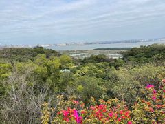 -广州莲花山旅游区