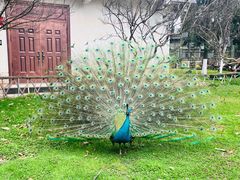 -昆明动物园