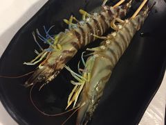 花竹虾-鲜入围煮花胶鸡海鲜火锅