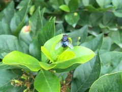 -云水瑶水汇(世邦·金色时代店)