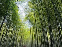 -宝岩生态观光园