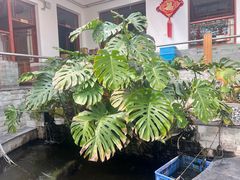 -燕北云山·农家菜·灶台鱼(密云溪翁庄店)