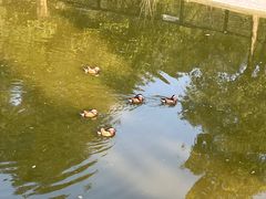 -泉州海丝野生动物世界