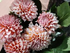 -循礼门鲜花花市(武汉循礼门店)