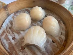 -憶廟街 X 沙角邨(太古城店)