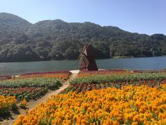 -广州市石门国家森林公园