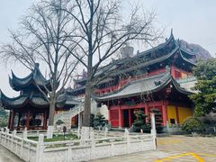 -上海东林寺(金山区)