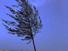 -白沙门生态公园