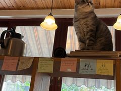 -隅cafe(傅厚岗店)