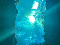 -南昌融创海世界