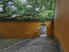 -西园戒幢律寺
