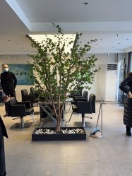 -付军剪艺JF ProSalon