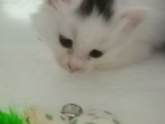 -美联众合24小时·皮肤科·外科·全科诊疗中心(华苑分院)