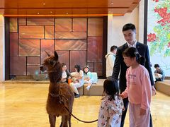 -济南喜来登酒店