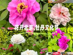 -太阳宫公园