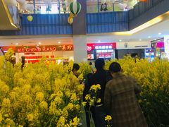 -天虹购物中心(石路店)