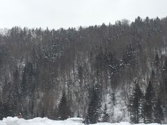 -雪谷