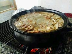 -蘑统田下·野生菌火锅