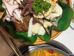 -野菌王•养生汤锅•野生菌火锅(大理漾濞路店)