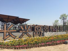 -上海长兴岛郊野公园