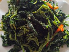 -正蓝旗草原特蒙餐