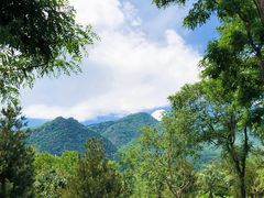 -阳台山自然风景区