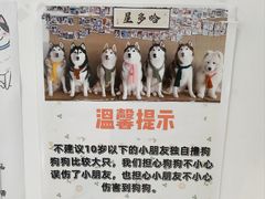 -星多哈·狗咖·拼豆·咖啡