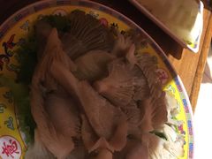 -芦月轩羊蝎子(北蜂窝店)