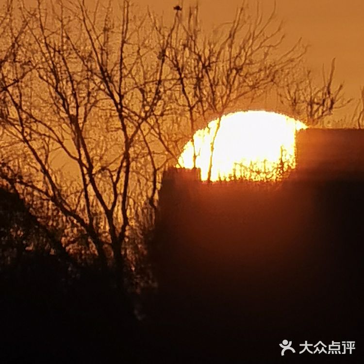 蓝天在线