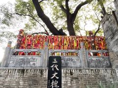 -大槐树寻根祭祖园