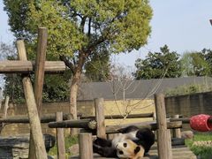 -杭州野生动物世界